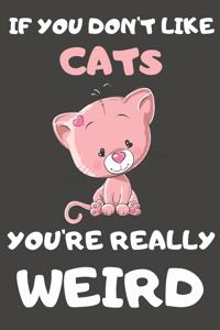 If You Don't Like Cats You're Really Weird