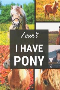 I can't I have Pony