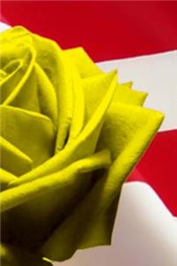 2019 Daily Planner Yellow Rose USA Flag Background Patriotic 384 Pages