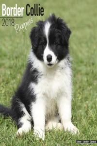 Border Collie Puppies Calendar 2018
