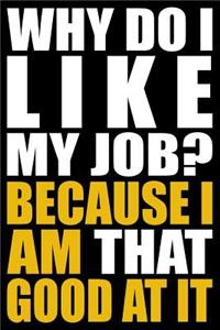 Why Do I Like My Job? Because I Am That Good at It