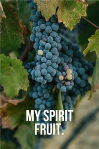 My Spirit Fruit