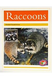 Raccoons PM Non Fiction Animal Facts Level 22 Nocturnal Animals Gold (Pm Animal Facts)