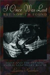 I Once Was Lost, But Now I'm Found