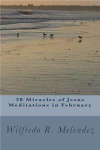28 Miracles of Jesus - Meditations in February