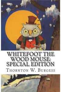 Whitefoot the Wood Mouse