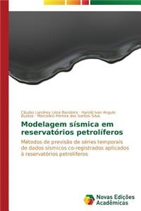 Modelagem sísmica em reservatórios petrolíferos