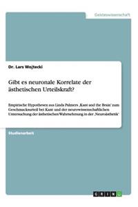 Gibt es neuronale Korrelate der ästhetischen Urteilskraft?