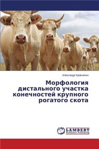 Морфология дистального участка конечнос&