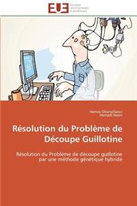 Résolution du problème de découpe guillotine