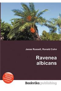 Ravenea Albicans