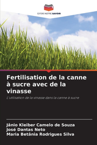 Fertilisation de la canne à sucre avec de la vinasse
