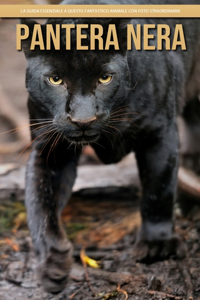 Pantera Nera: la guida essenziale a questo fantastico animale con foto straordinarie