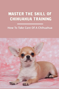 Master The Skill Of Chihuahua Training