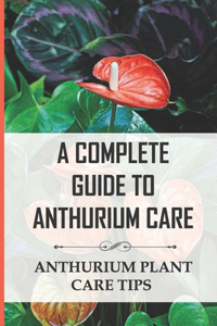 Complete Guide to Anthurium Care