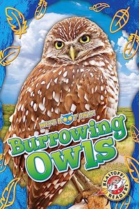 Burrowing Owls