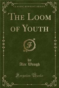 The Loom of Youth (Classic Reprint)