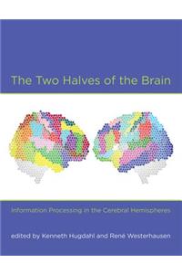 The Two Halves of the Brain