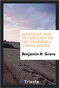 Anatomy and Physiology of the Wingshell Atrina Rigida