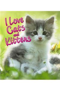 I Love Cats and Kittens