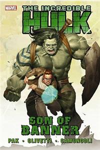 Incredible Hulk Vol.1: Son Of Banner