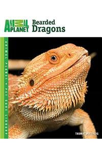 Bearded Dragons