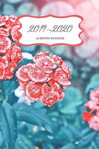 2019 - 2020 18 Month Planner; Red Flowers
