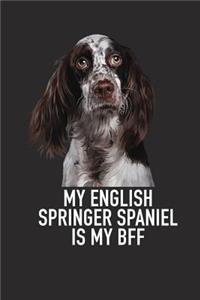 My English Springer Spaniel Is My Bff