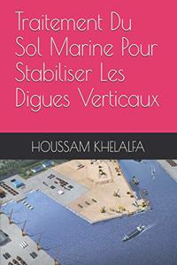 Traitement Du Sol Marine Pour Stabiliser Les Digues Verticaux