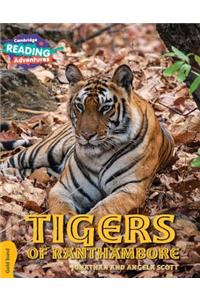Cambridge Reading Adventures Tigers of Ranthambore Gold Band
