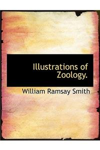 Illustrations of Zoology.