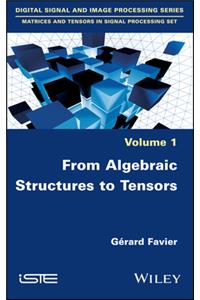 From Algebraic Structures to Tensors