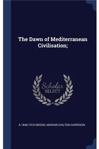 Dawn of Mediterranean Civilisation;