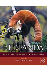 Red Panda
