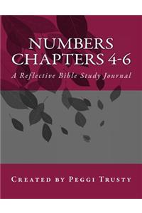 Numbers, Chapters 4-6