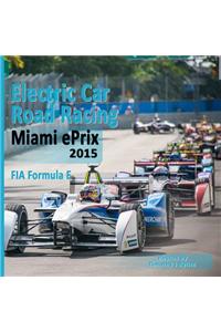 Electric Car Road Racing Miami Eprix 2015 Fia Formula E
