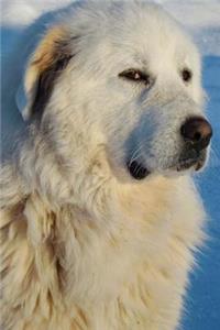 The Great Pyrenees Dog Journal