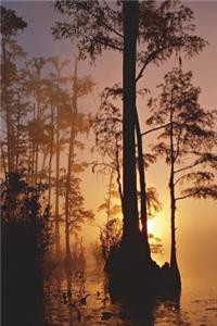 Okefenokee Swamp in Georgia Journal