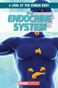 Endocrine System