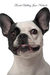 French Bulldog June Notebook & Journal. Also French Bulldog Notepad, To Do List, Academic Notepad, Scrap Book, Diary