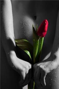 Sacred Tulip Journal