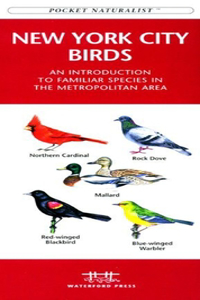 Philadelphia Birds