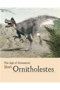 Meet Ornitholestes