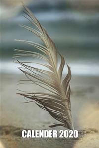 Sea love Baltic Sea North Seagull Feather Calendar 2020