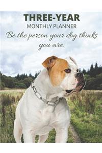 Three Year Monthly Planner Starting 2020 Agenda with Weekly Plan Space - Best Gift For American Bulldog Owner - Funny Dog Appointment Book for 2021 & 2022