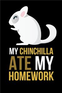 Chinchilla Ate My Homework