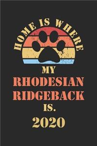Rhodesian Ridgeback 2020