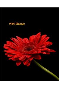 2020 Planner