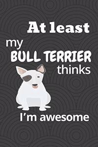 At least my Bull Terrier thinks I'm awesome