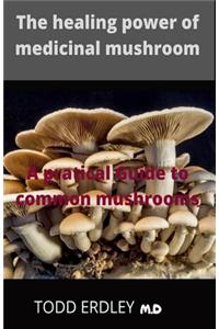 The healing power of medicinal mushroom